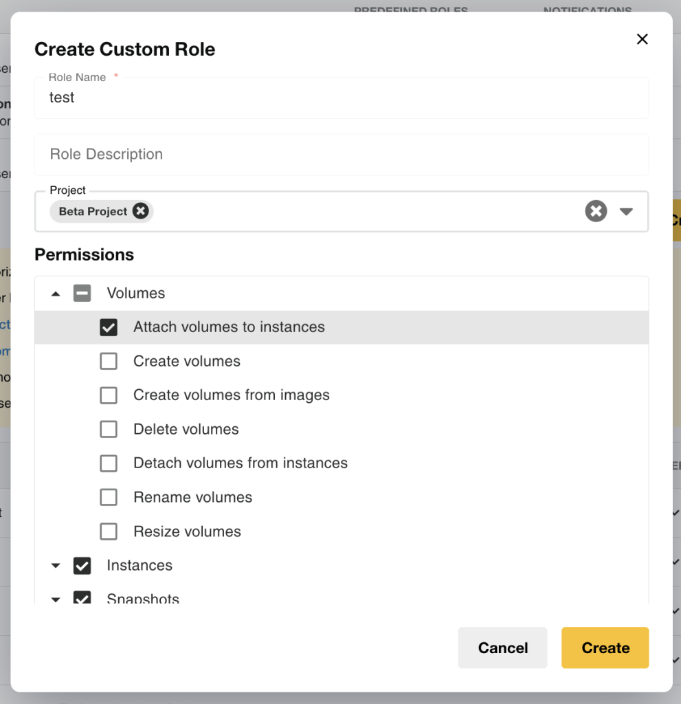 Custom Roles dashboard showing project access and cloud resource permissions